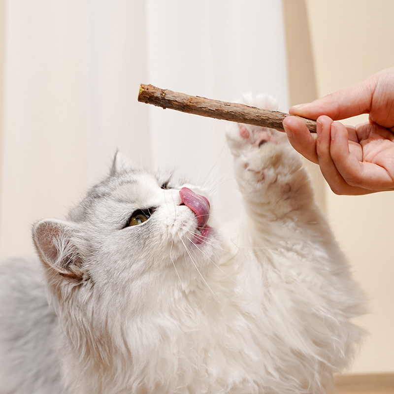 Catnip Toy Interactive Accessories Food Pet Supplies Gnaw Teeth Game Clean Cat Mint Stuff Treats Products Gourmet Teething Stick